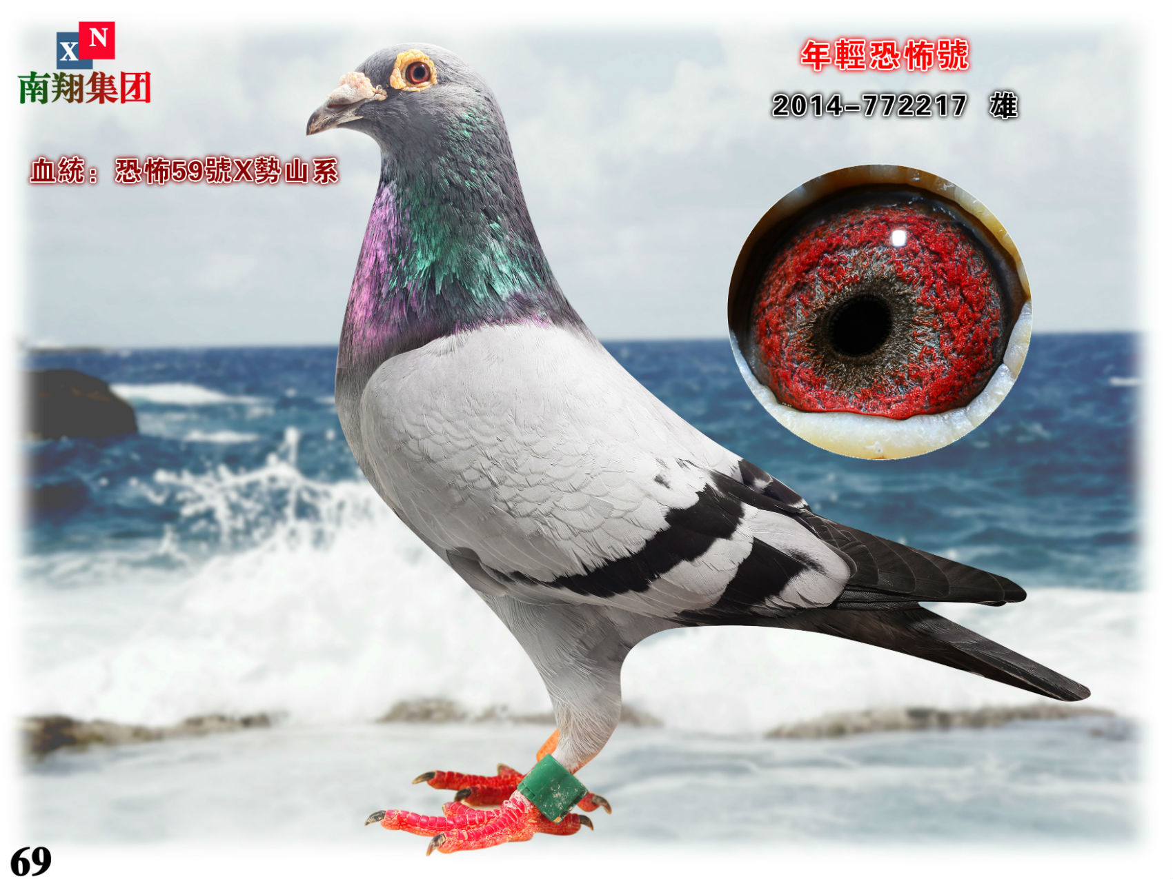 pֲ̖