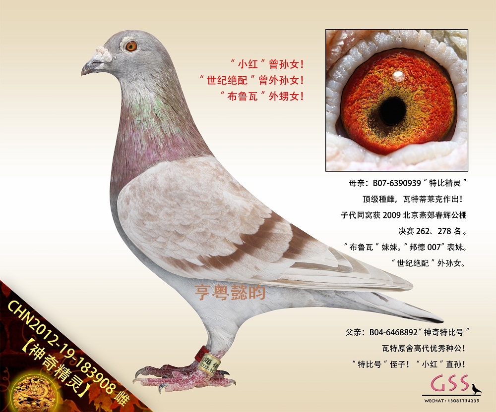 澫`СtOŮ