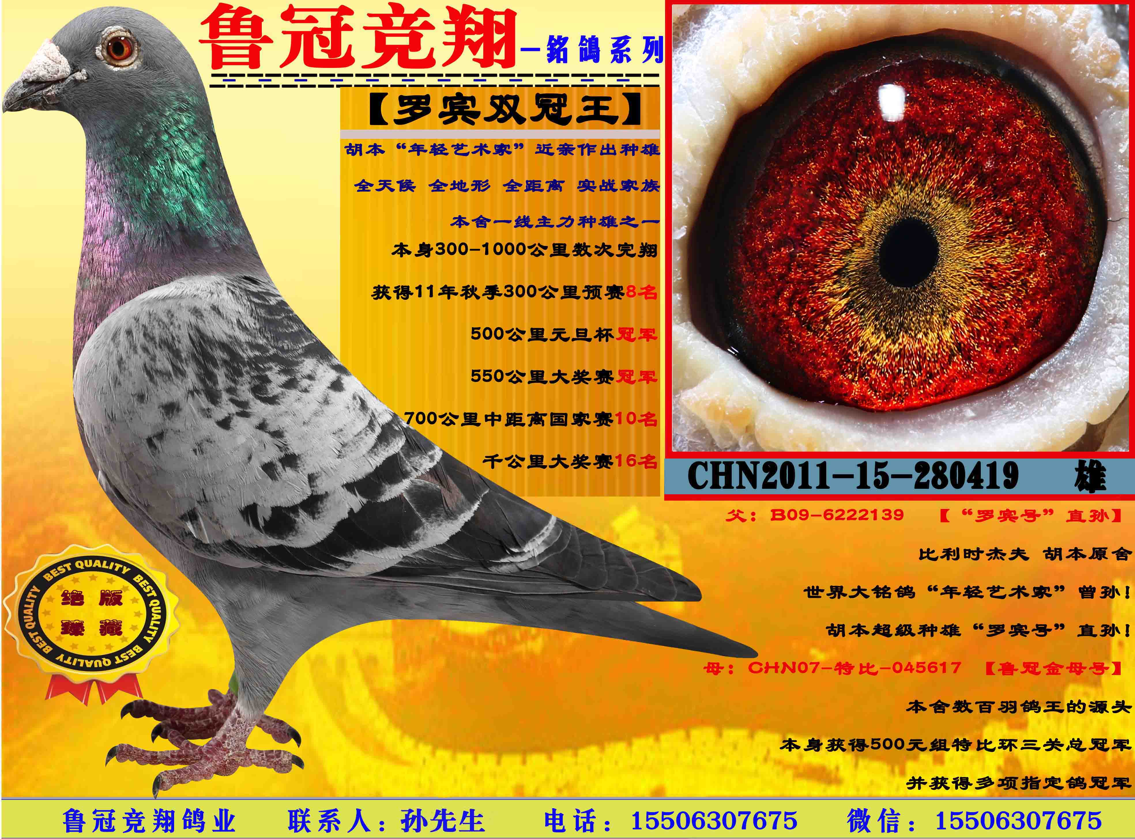 【罗宾双冠王】
