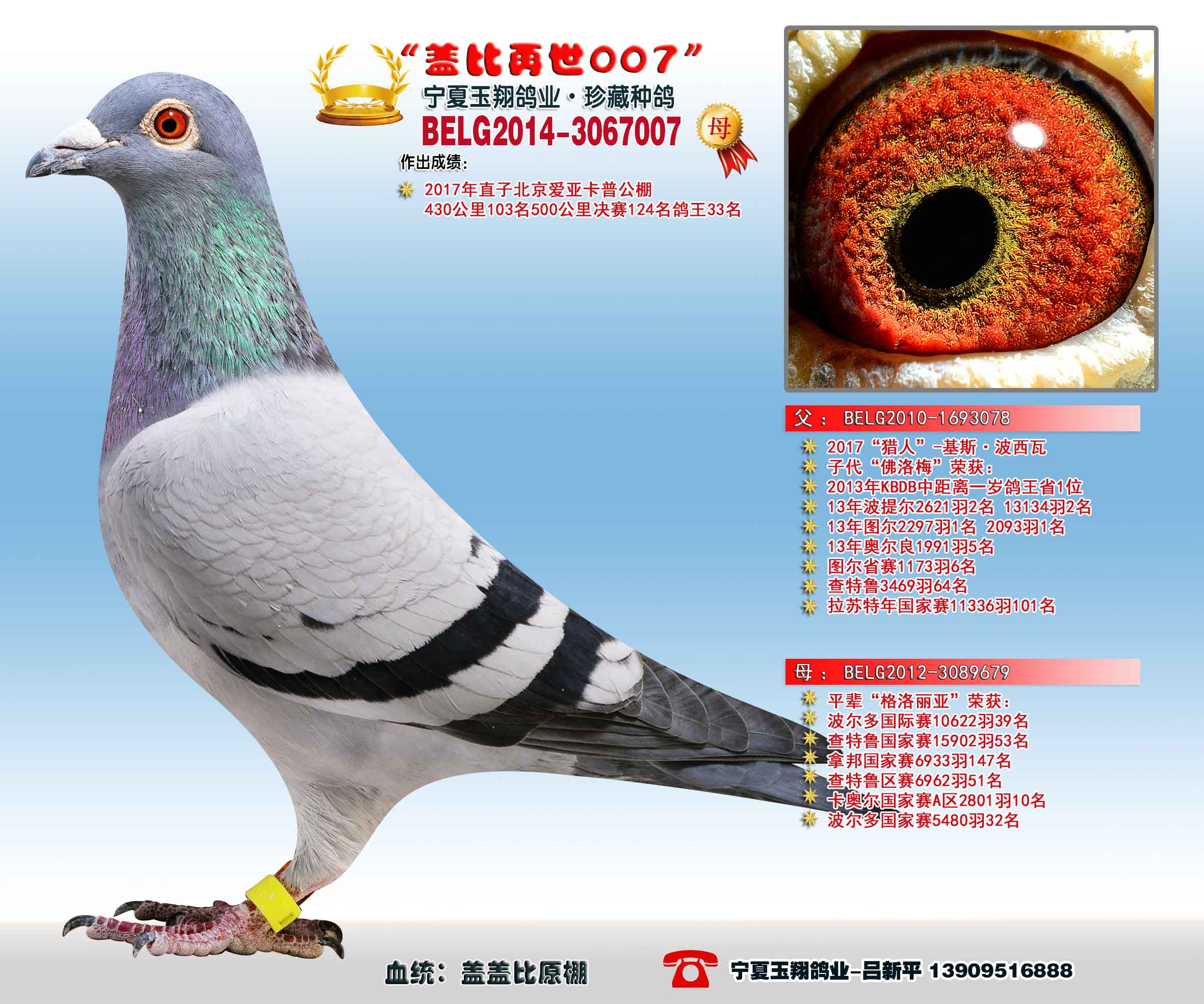 盖比再世007