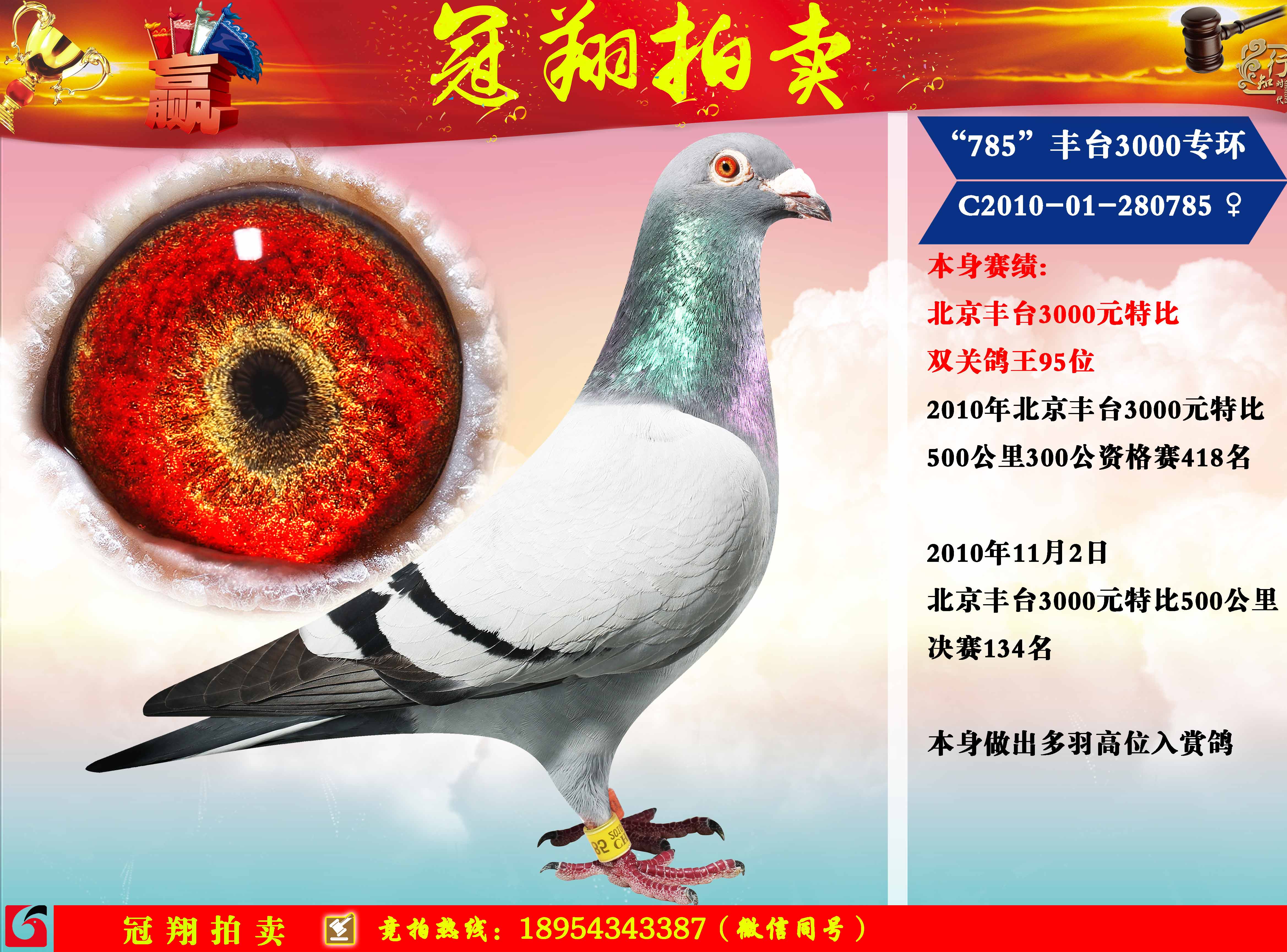 "785"丰台3000专环