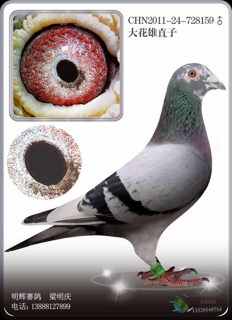 ֱ