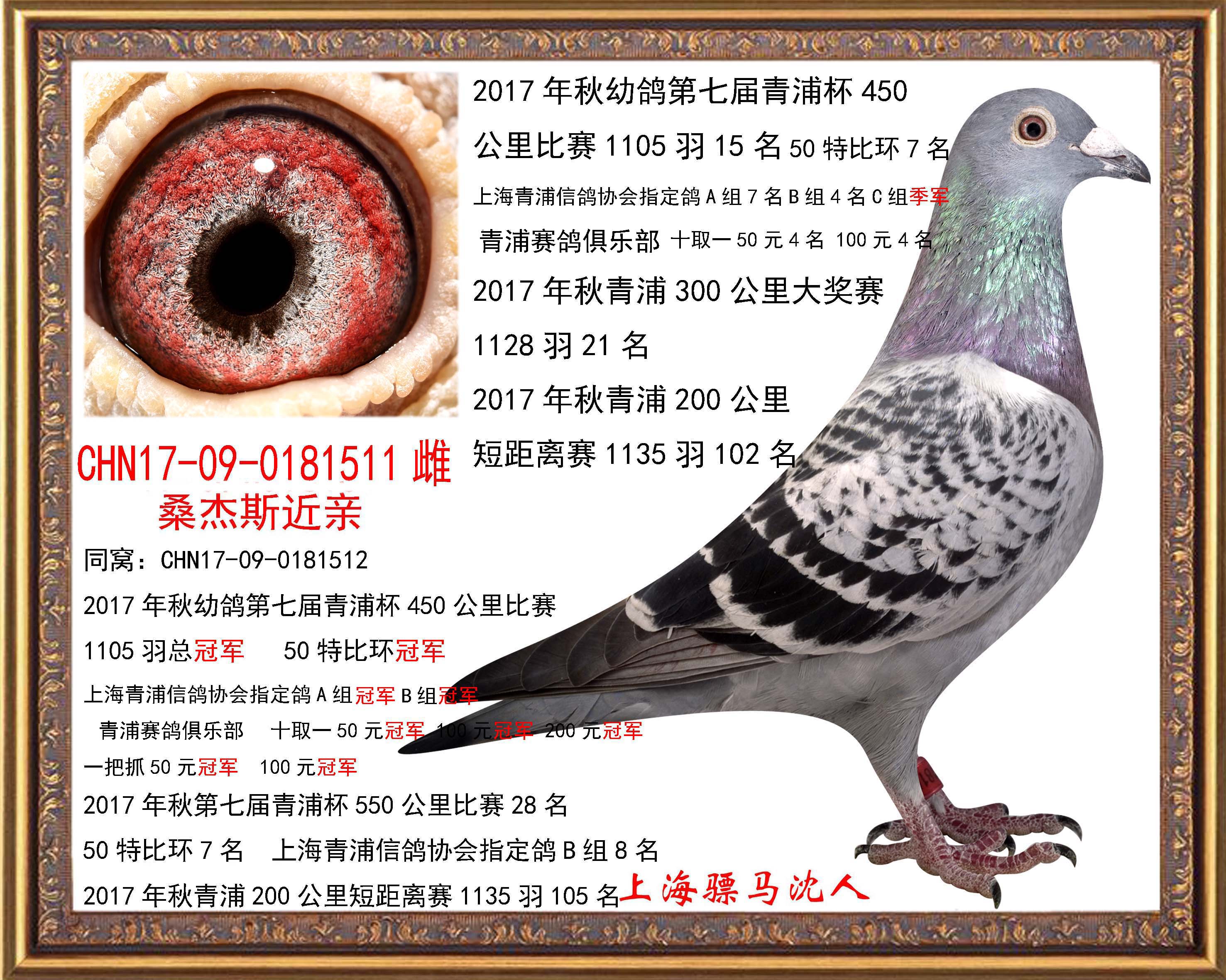R1511