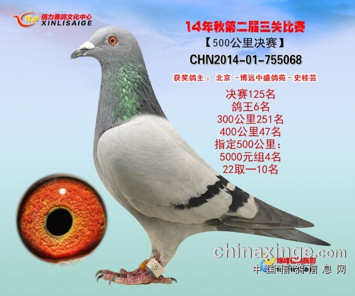 ���P(gu��n)��������