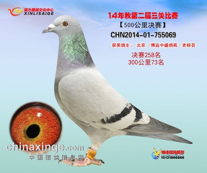 ���P(gu��n)��������ͬ�C