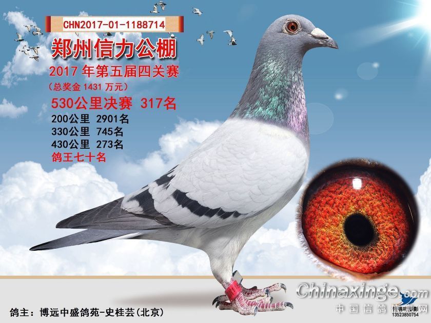 2017����������317��