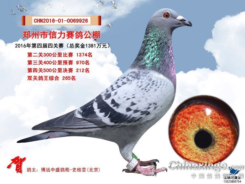 2016����������212��