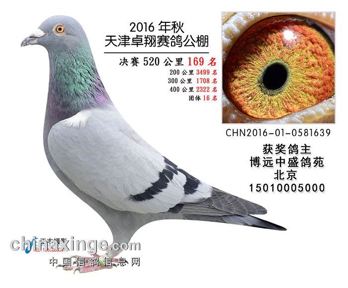 2016�����׿�蹫��169��