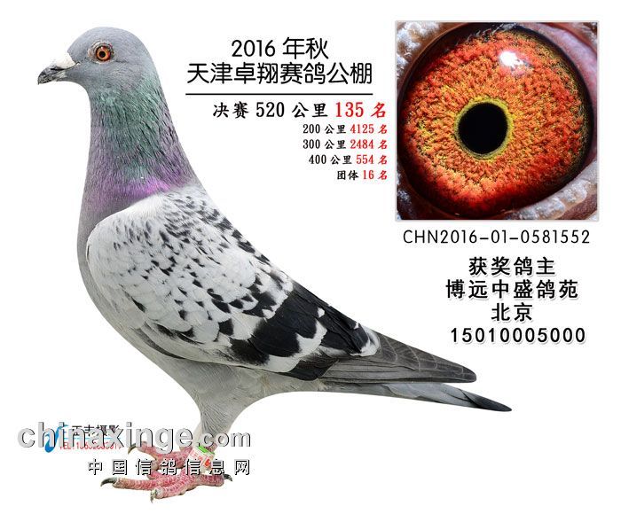 2016�����׿�蹫��135��