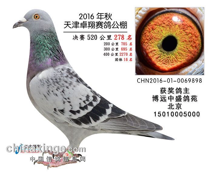 2016�����׿�蹫��278��