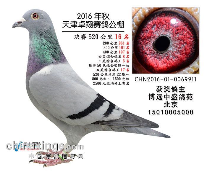 2016��׿��16��