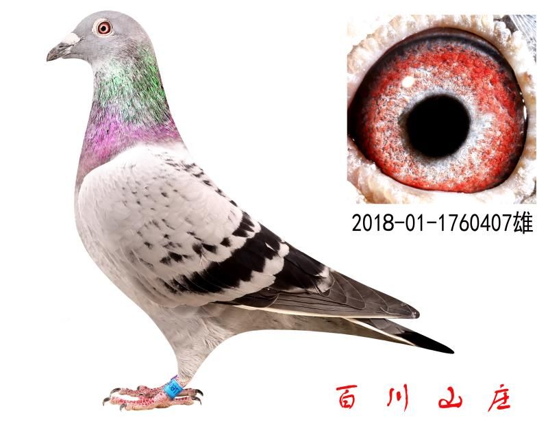 ȱݶȦ۽HOD(zhun)׌