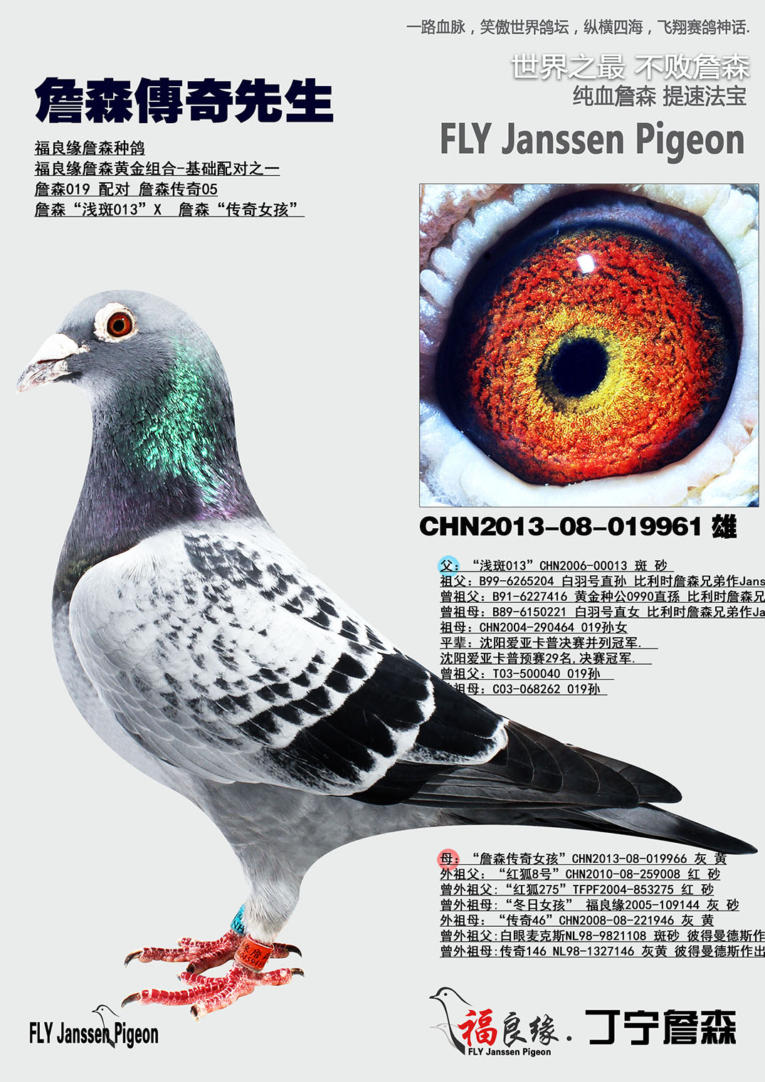 詹森传奇先生