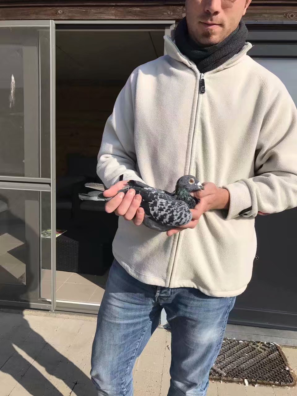 ʨ966