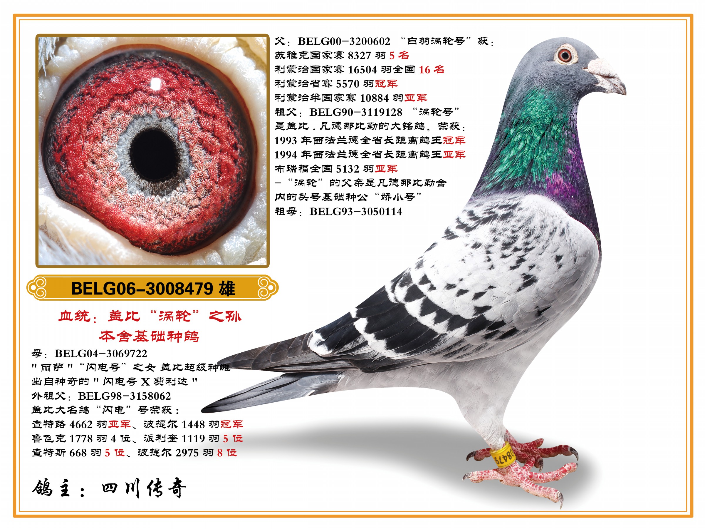 盖比"涡轮之孙"