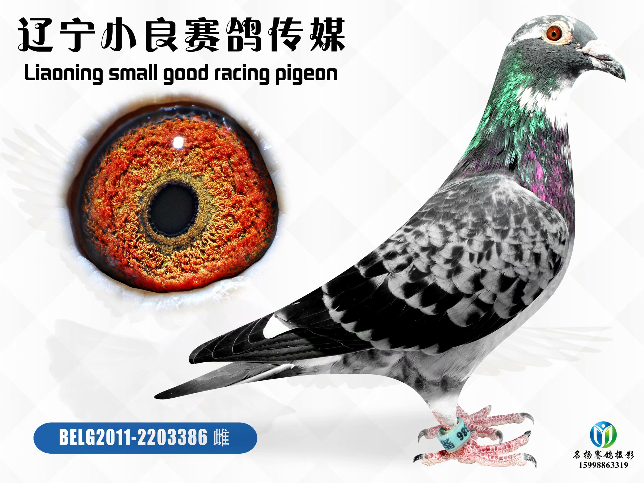 杰夫·凡温克原舍