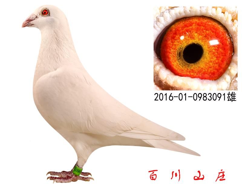mmexport1540127520704