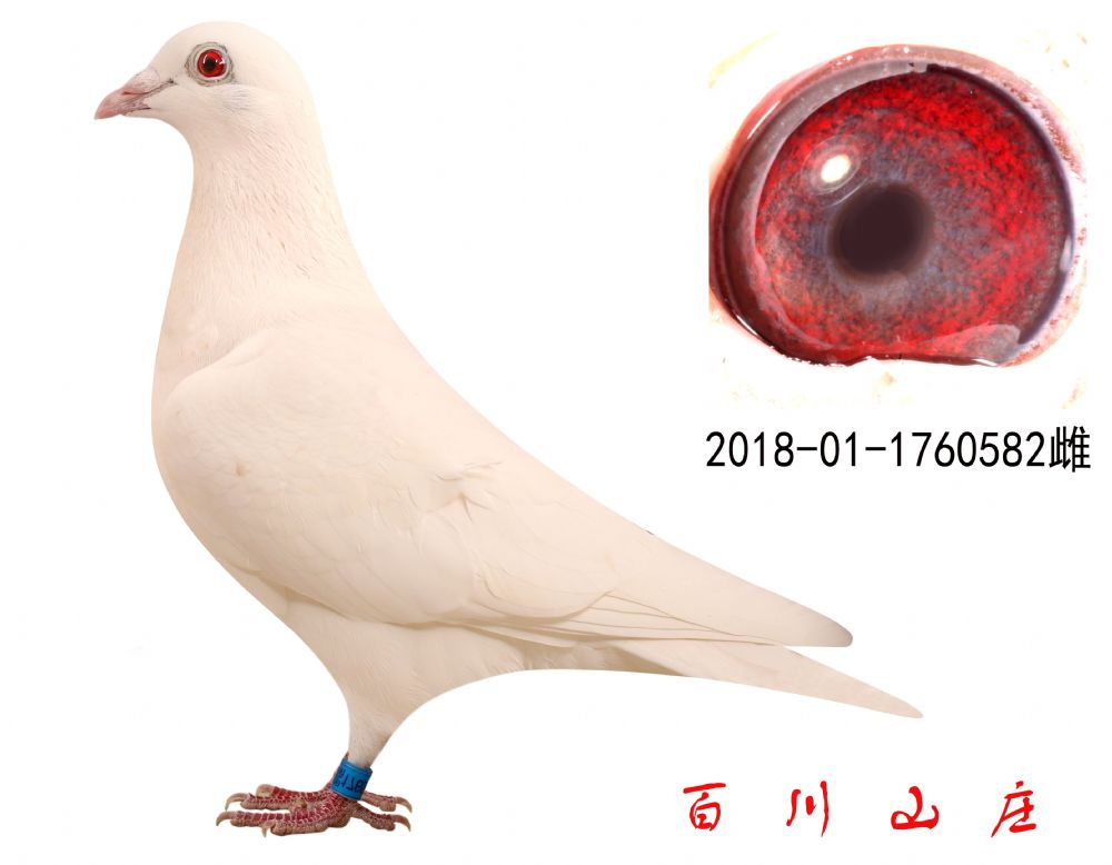 Ȱ Ů
