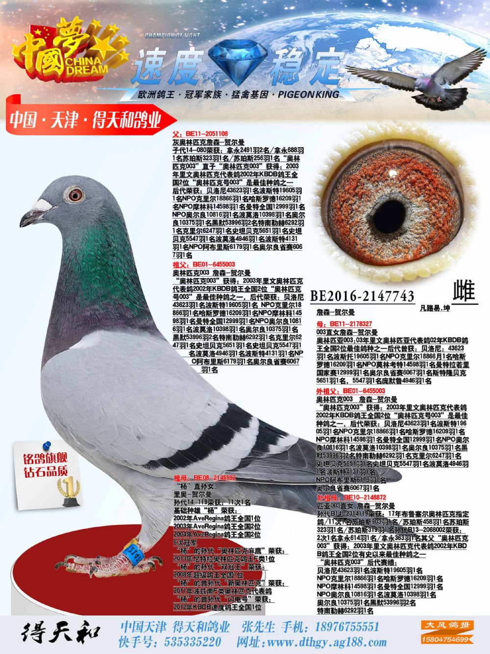 com爱鸽商城