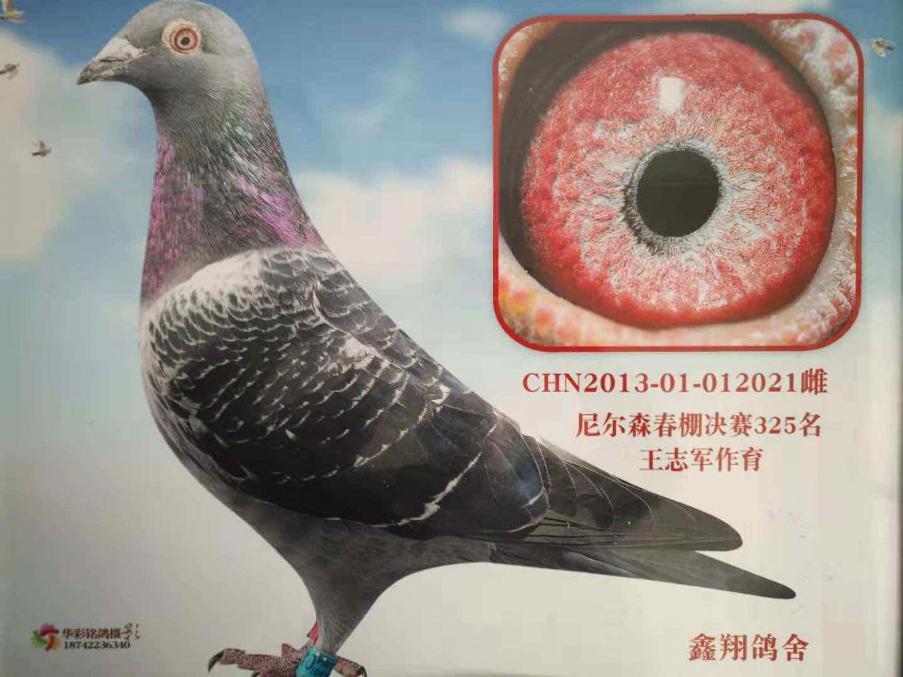 325
