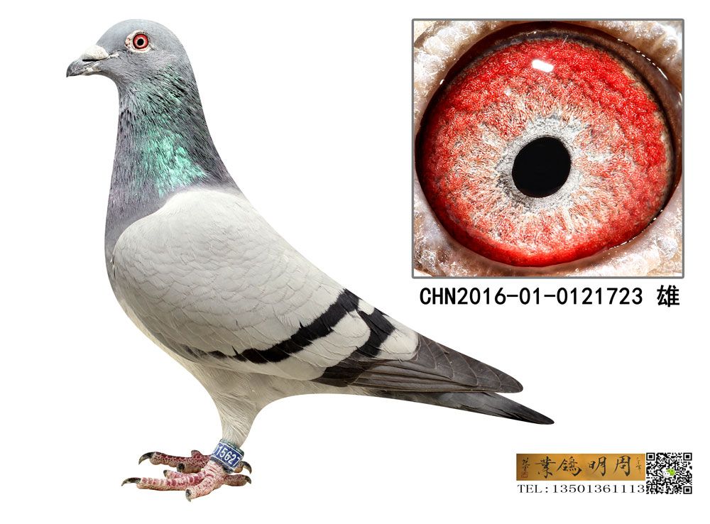 O723