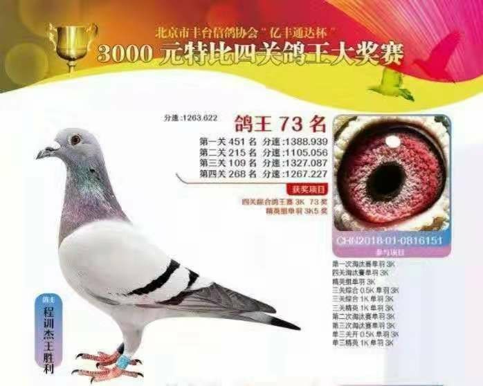 2018S_(ti)f(xi)(hu)P(gun)C73