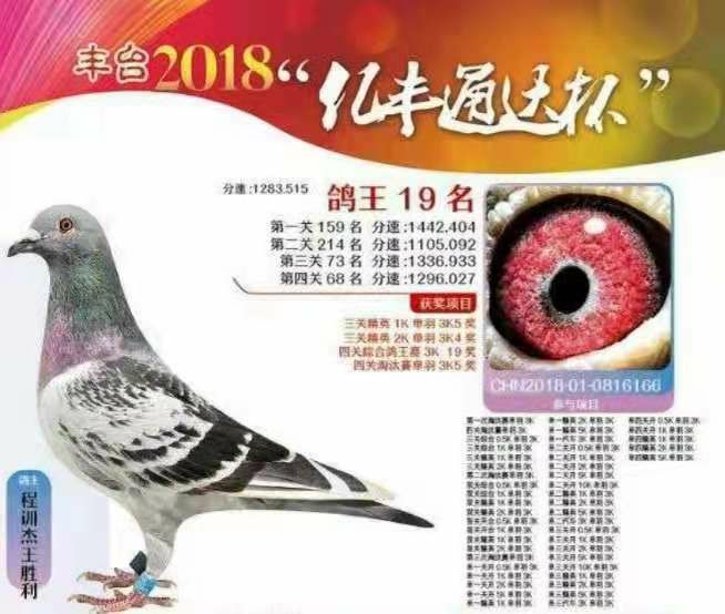 2018S_(ti)f(xi)(hu)P(gun)C19