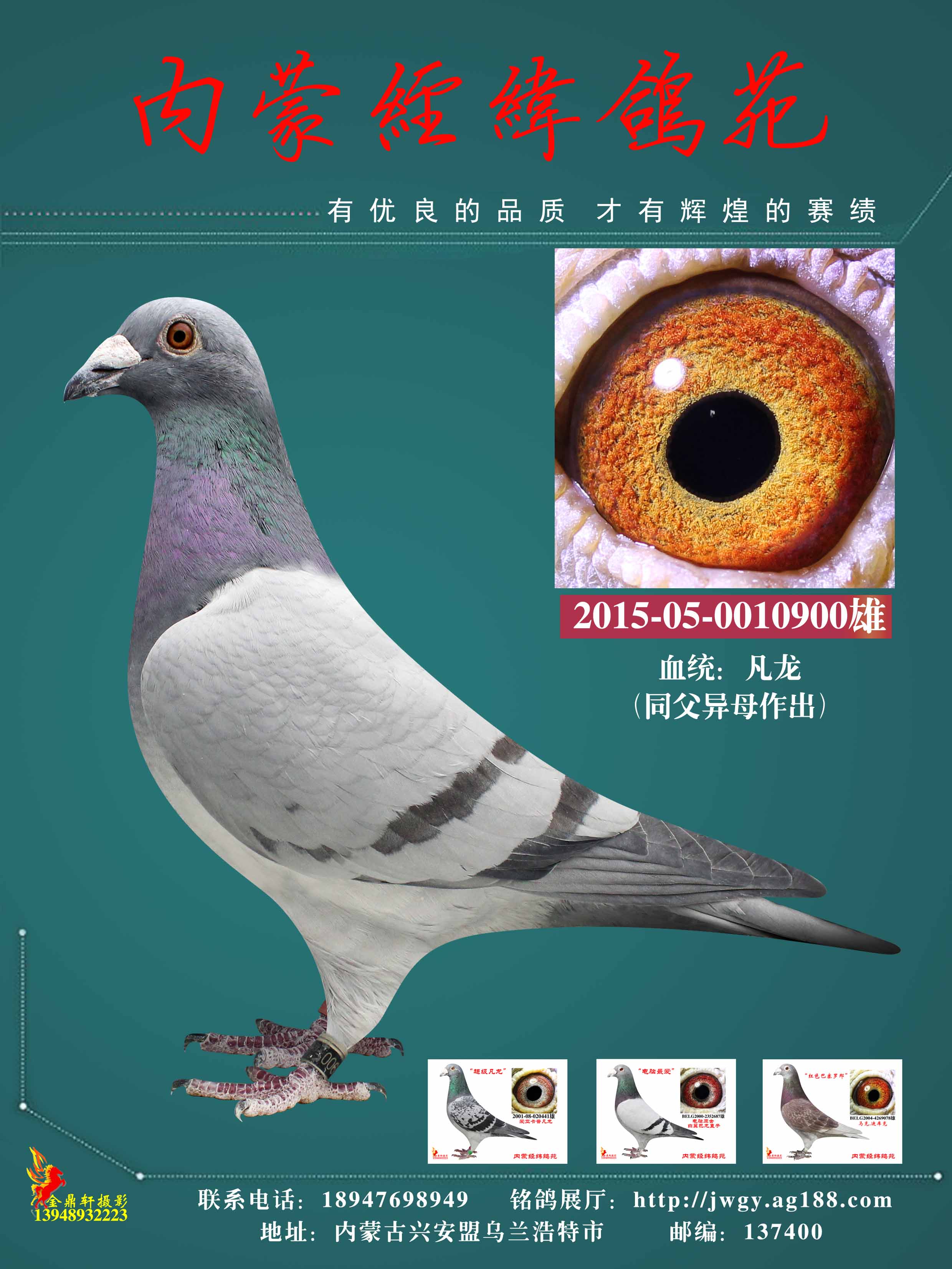 凡龙近亲900