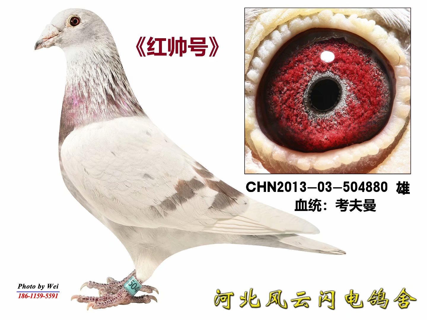 ˧