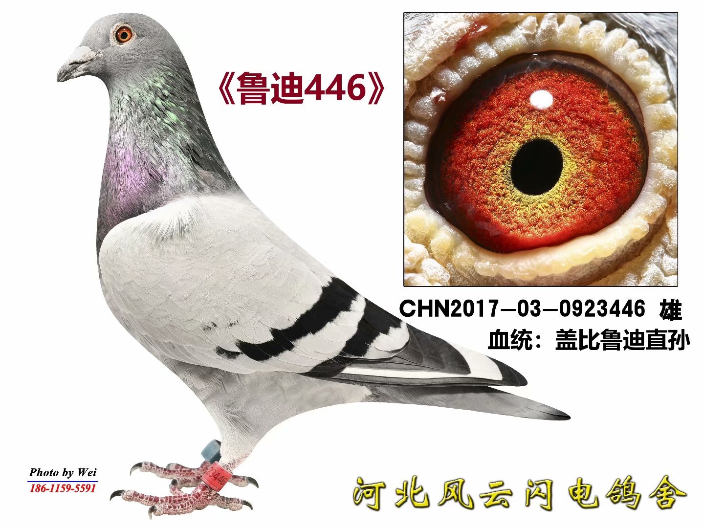 ³446