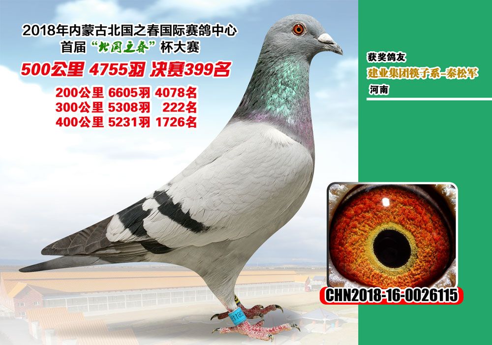 ֮Qِ399