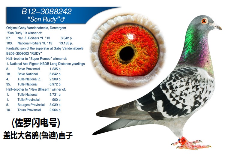 ţ³ֱӣ