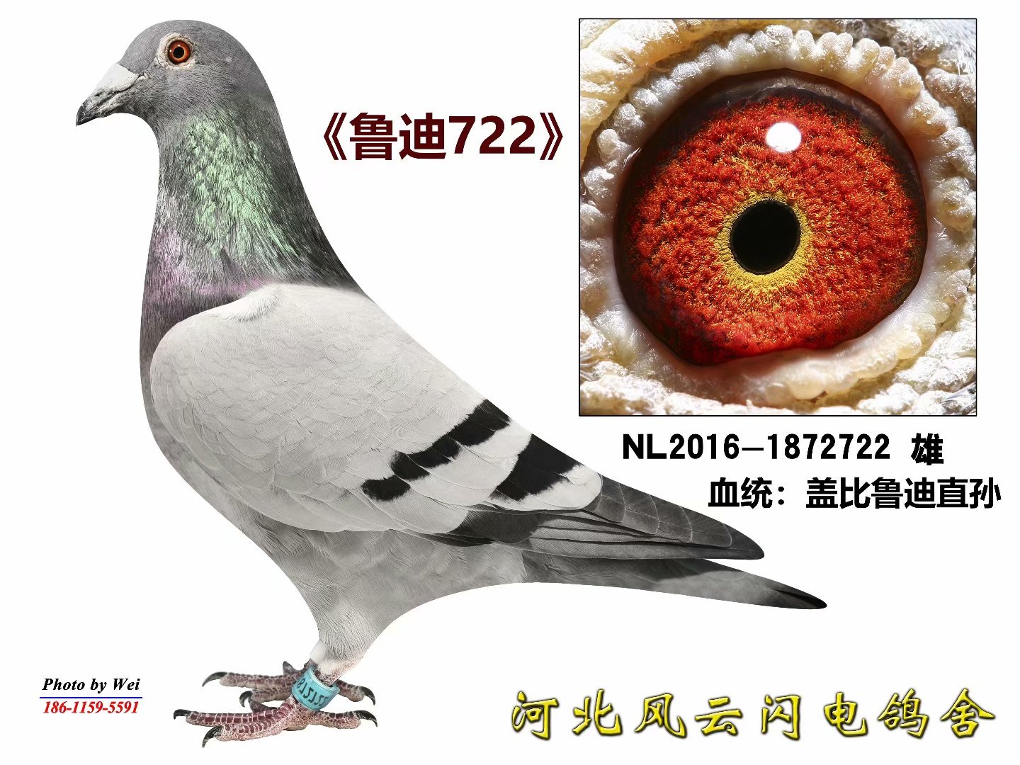 ³722