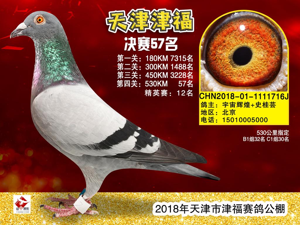 18��򸣹���57��