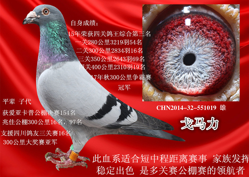 戈马力