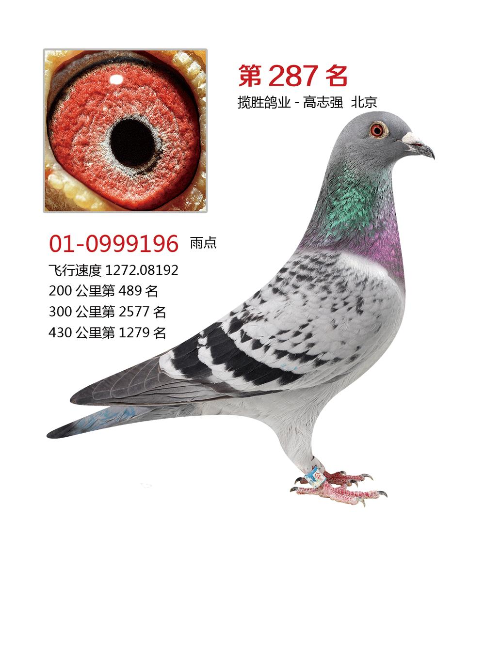 _(ki)287