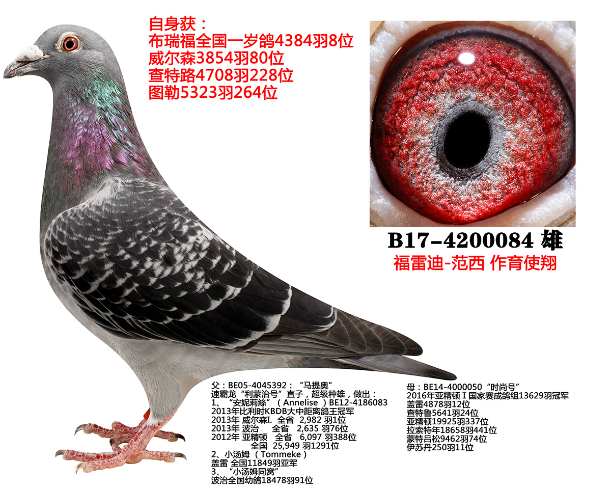 ȫ(gu)һq8λ