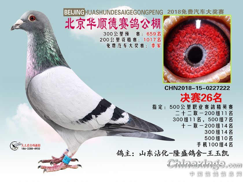 ������˳�¹������26��