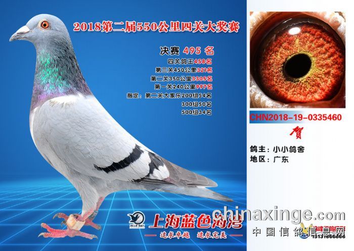 2018���Ϻ���ɫ���幫��495��