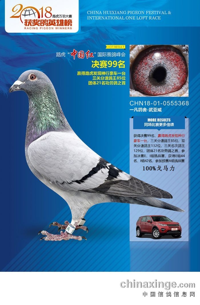 蹫ɿ