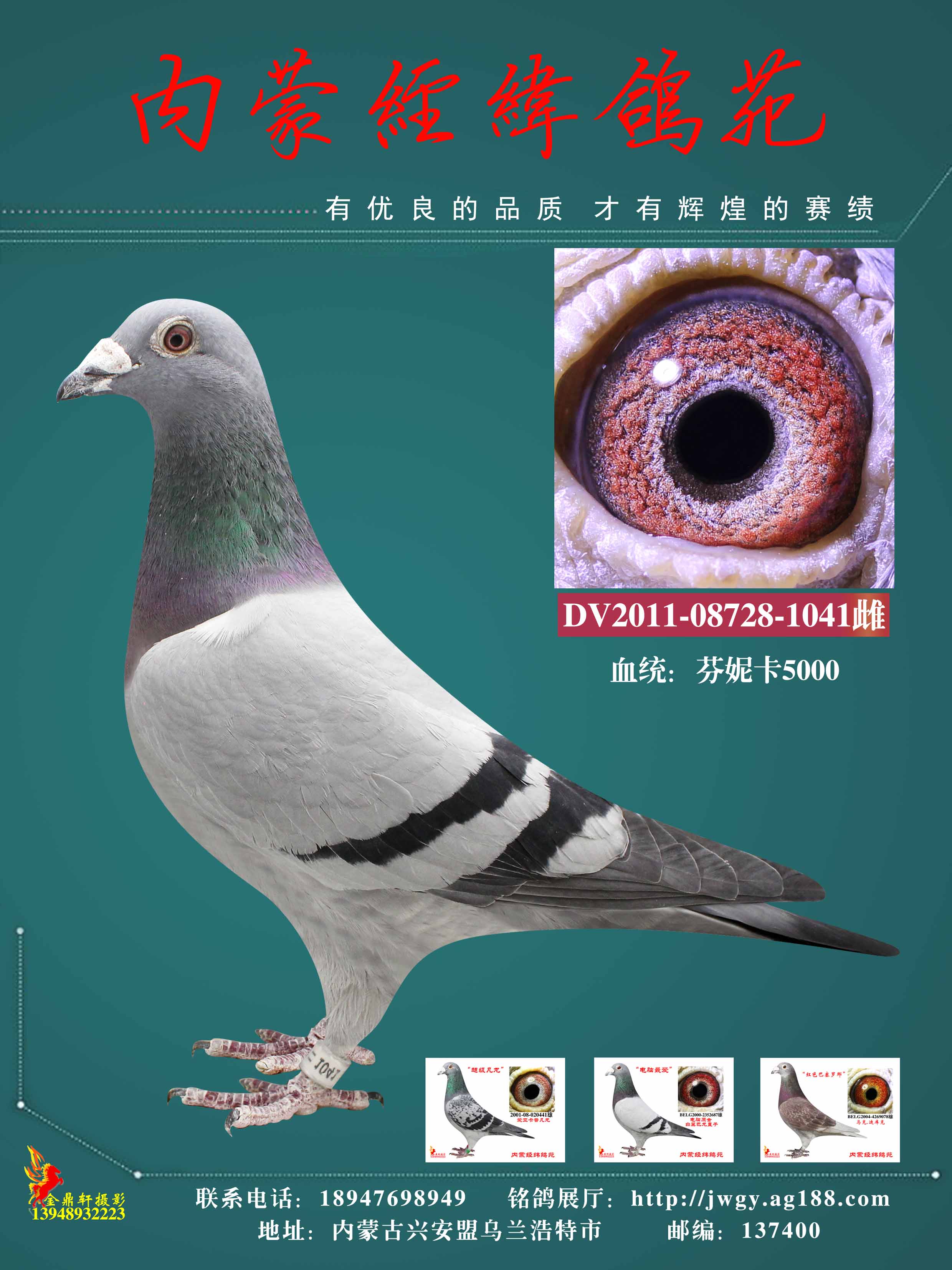 芬妮卡5000"德国小姐"