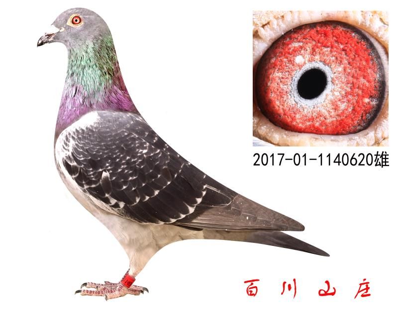 t֮