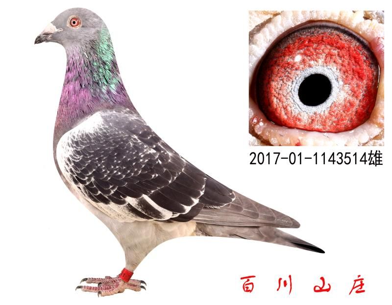 t֮
