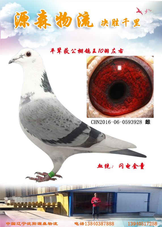 闪电金童
