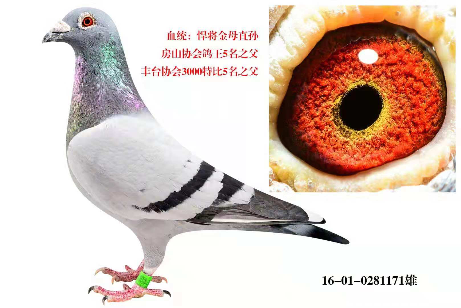 ĸֱO