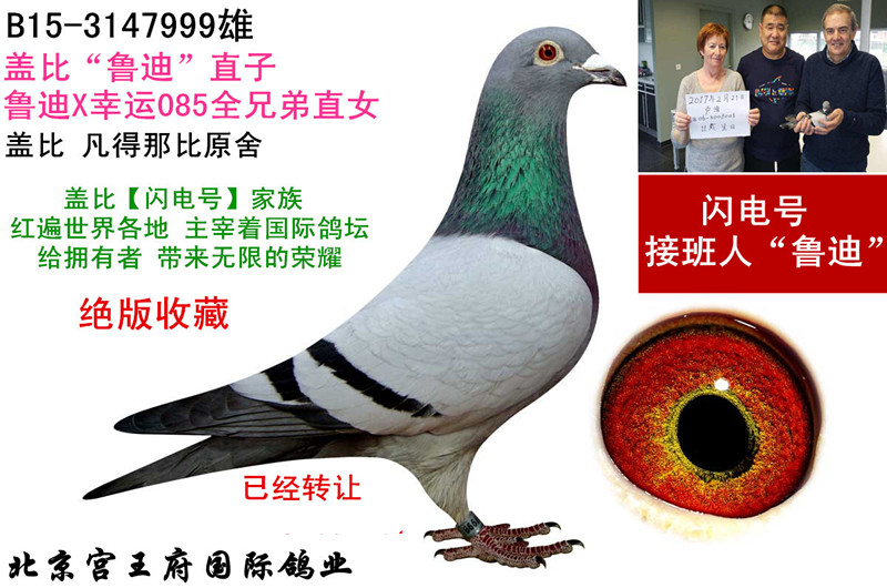 w ?sh)ϡֱ? ></a>
        
      
      </div>
   
       <br>
    </td>
  </tr>
</table>
   
<table width=