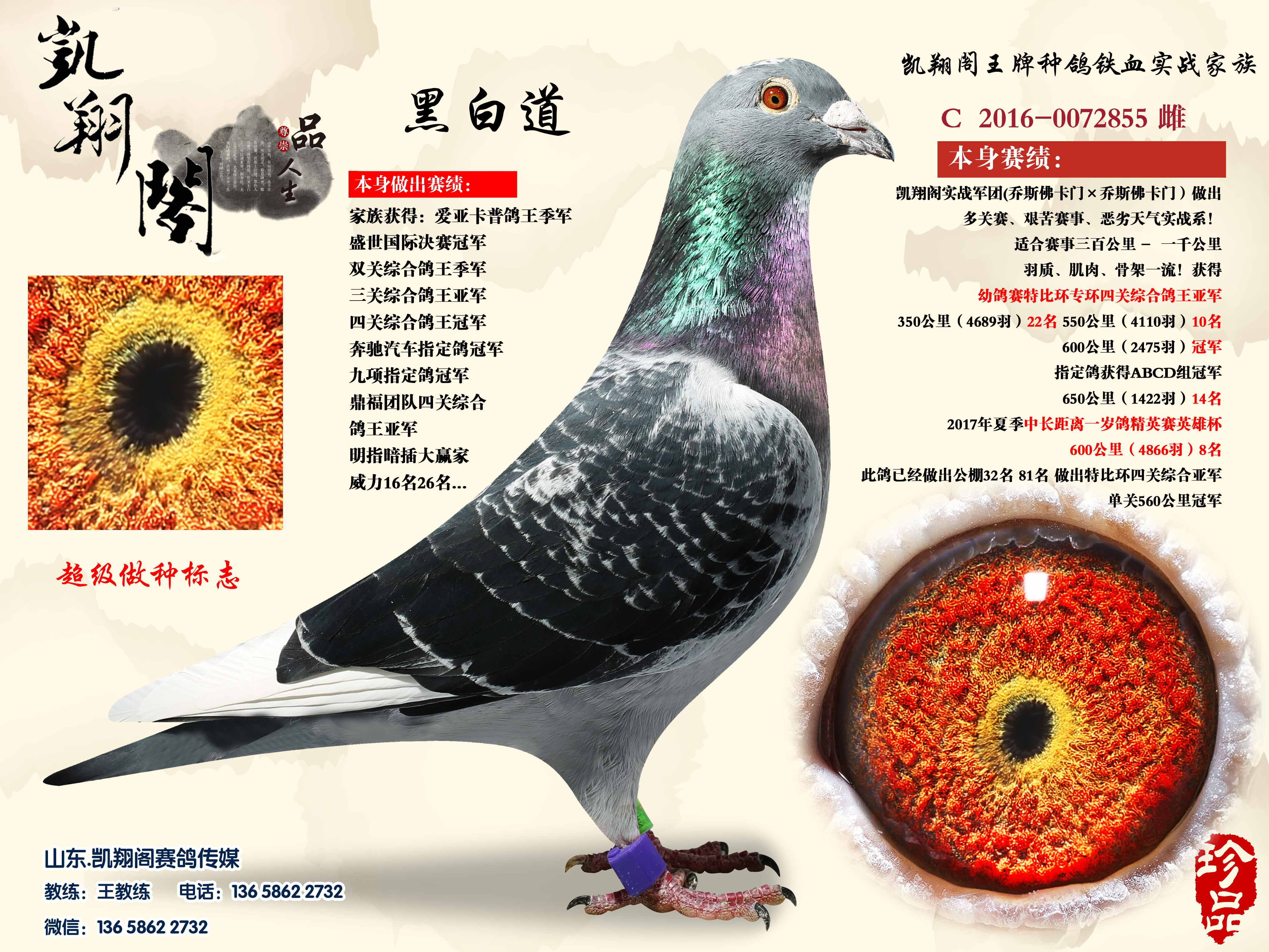 黑白道