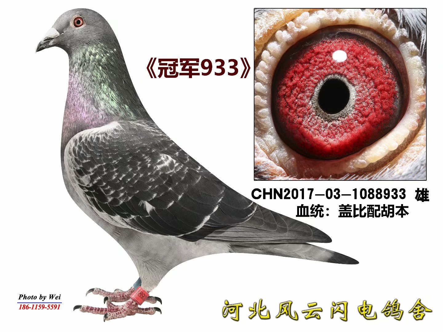 ھ933