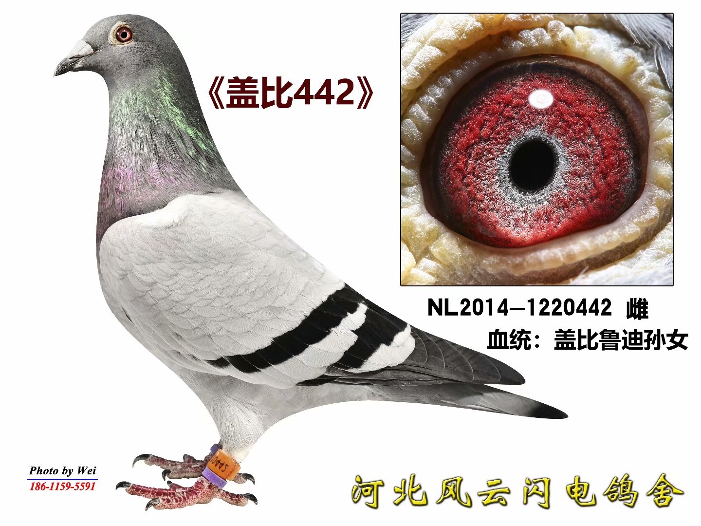 ³442