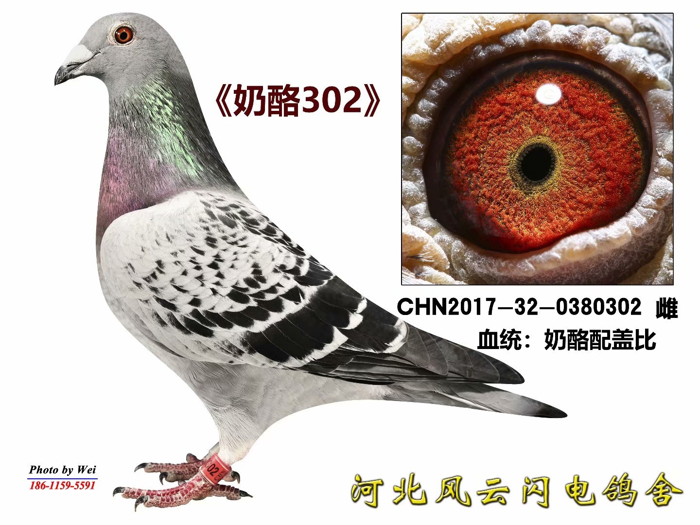 302